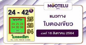 ใบตองเขียว 16-08-64