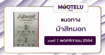 ม้าสีหมอก 01-11-64