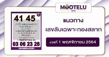 เลขลับเฉพาะกองสลาก 01-11-64