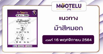 ม้าสีหมอก 16-11-64