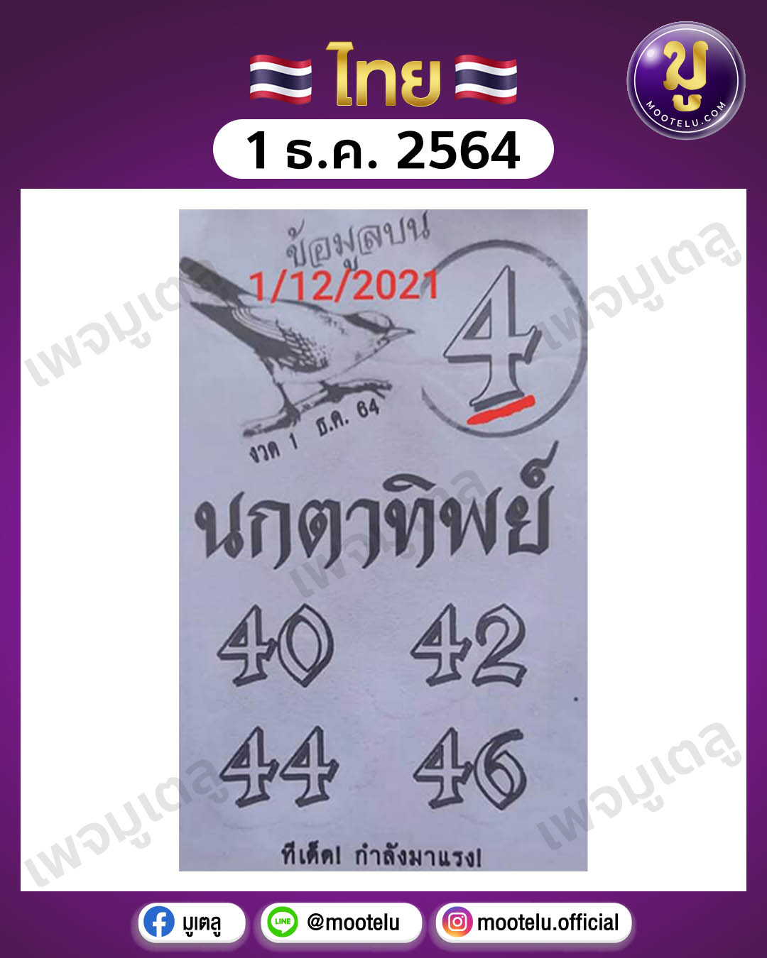 นกตาทิพย์ 1-12-64