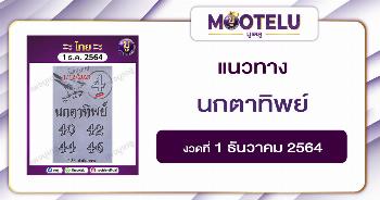 นกตาทิพย์ 1-12-64