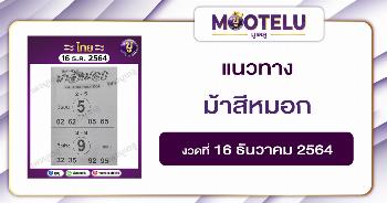 ม้าสีหมอก 16-12-64