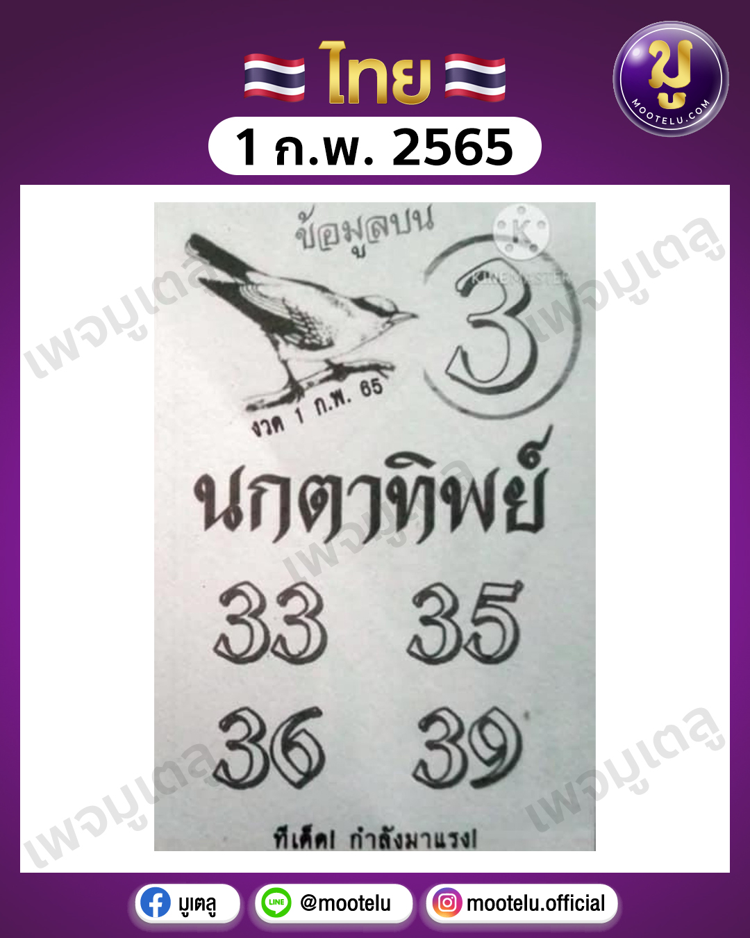 นกตาทิพย์ 1-2-65