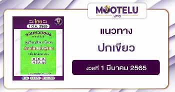 ปกเขียว 1-3-65