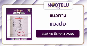 แมงปอ 16-3-65