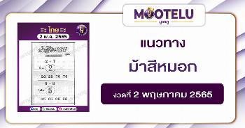 ม้าสีหมอก 2-5-65