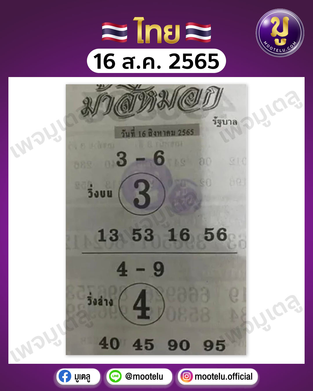 ม้าสีหมอก 16-8-65