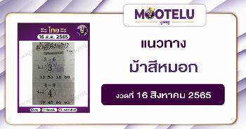 ม้าสีหมอก 16-8-65
