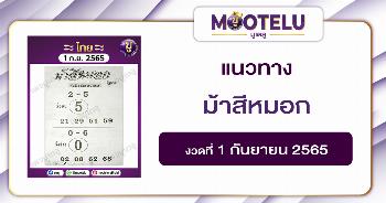ม้าสีหมอก 1-9-65
