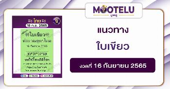 ใบเขียว 16-9-65