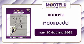 หวยแมงปอ 30-12-65