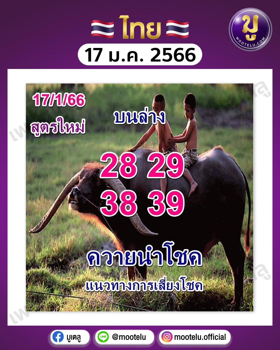 หวยควายนำโชค 17-1-66