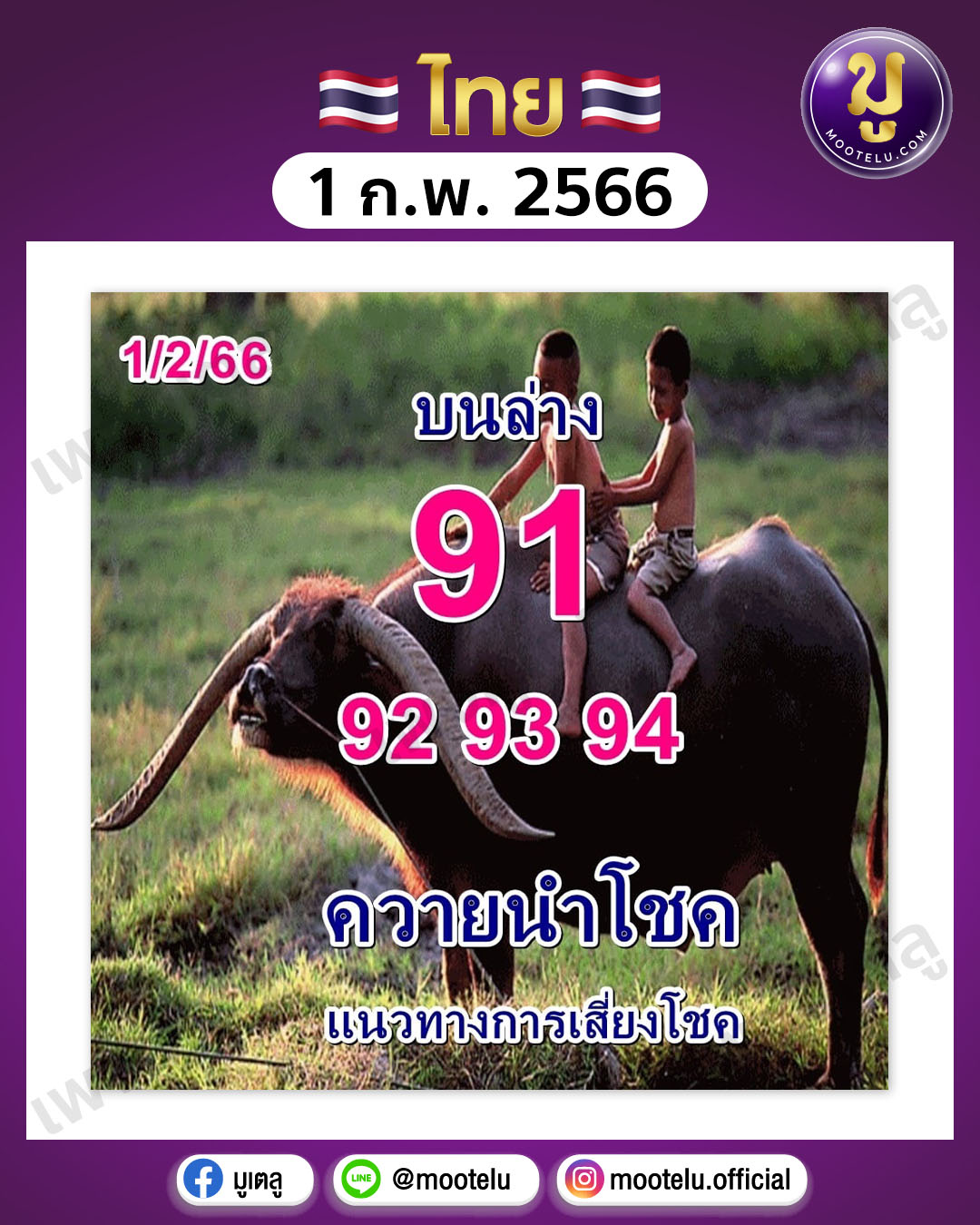 หวยควายนำโชค 1-2-66