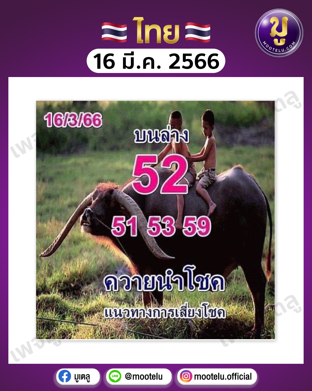 หวยควายนำโชค 16-3-66