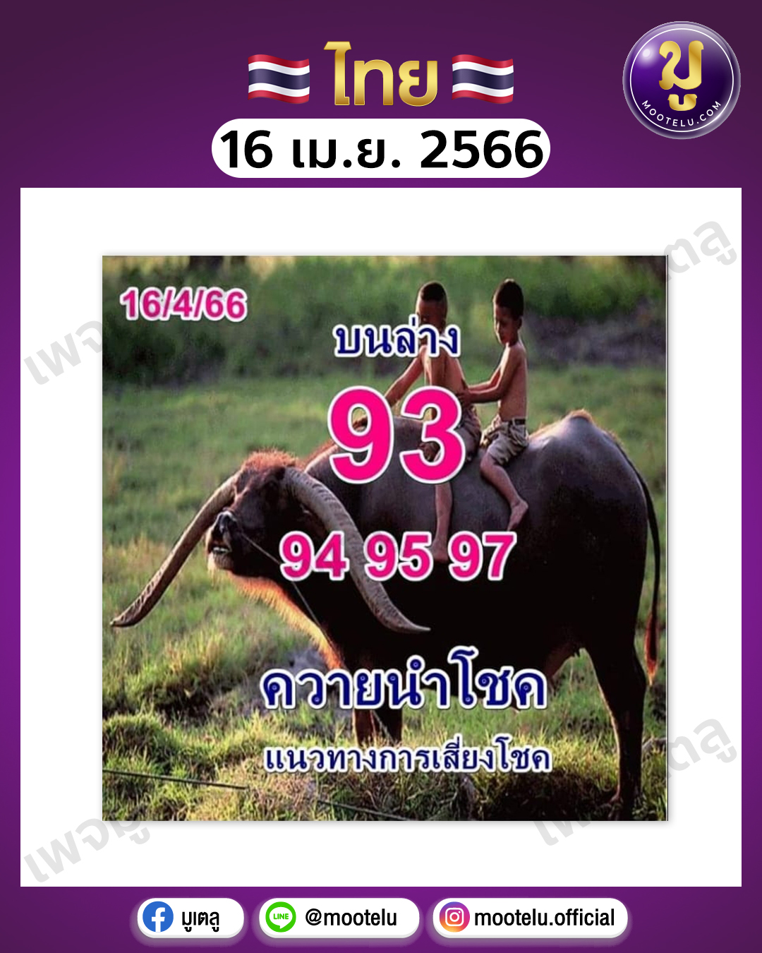 หวยควายนำโชค 16-4-66