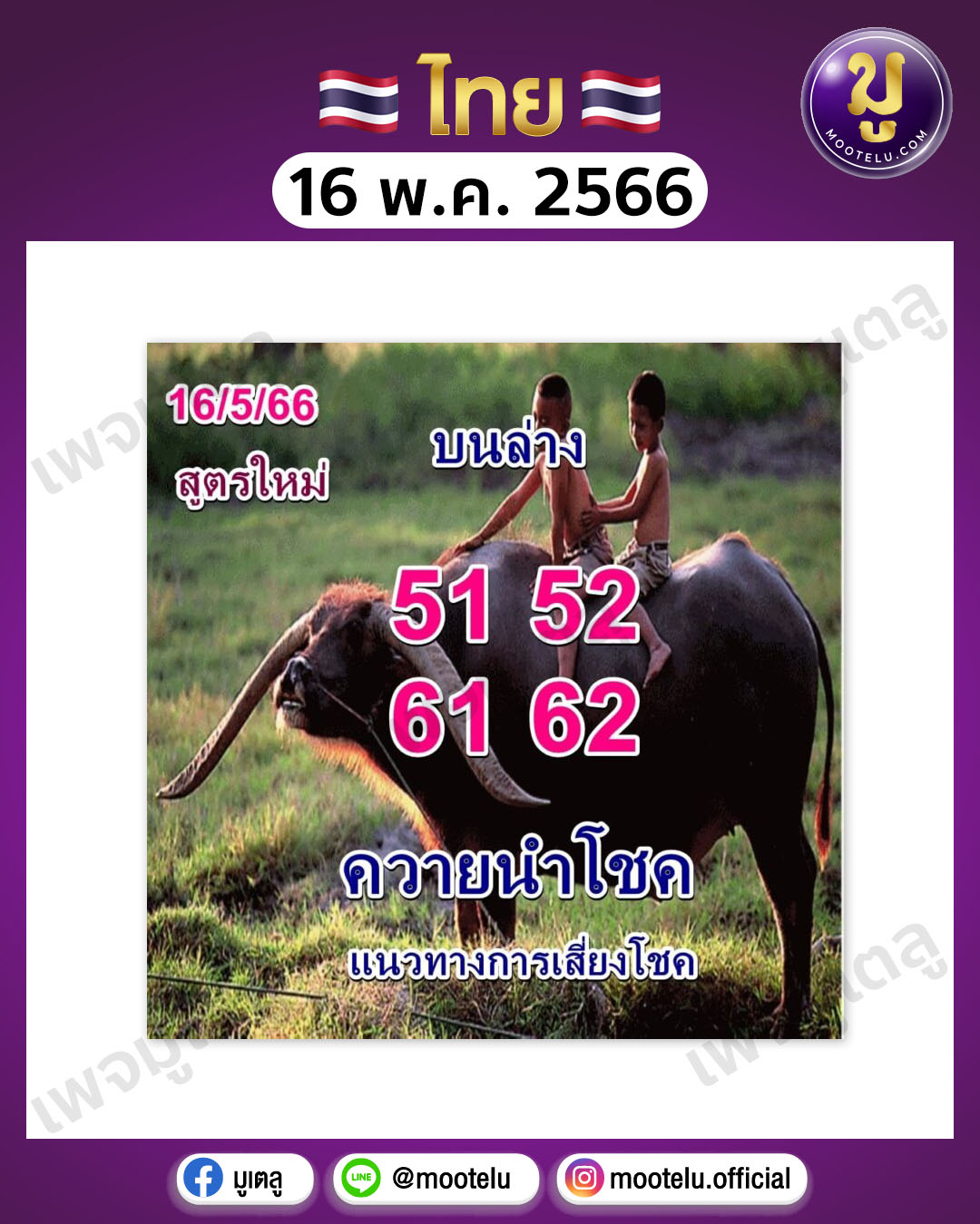 หวยควายนำโชค 16-5-66 
