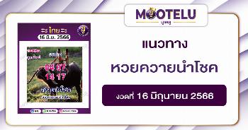 หวยควายนำโชค 16-6-66