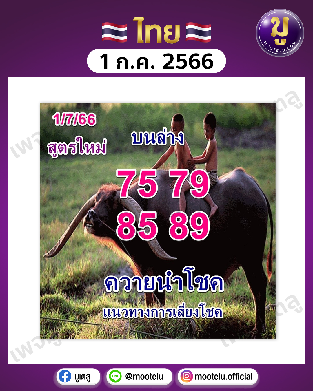หวยควายนำโชค 1-7-66 