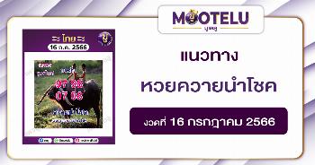 หวยควายนำโชค 16-7-66 