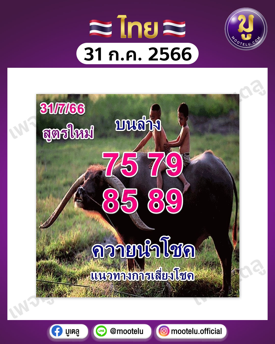 หวยควายนำโชค 31-7-66 