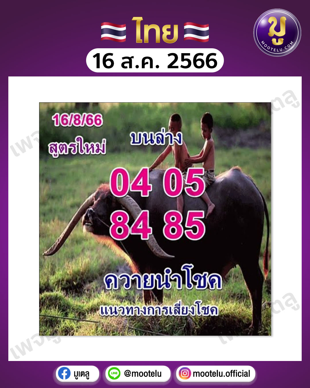 หวยควายนำโชค16-8-66 