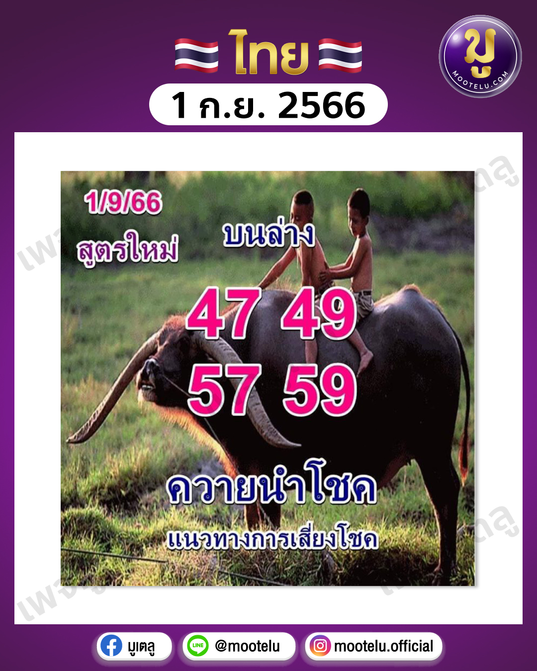 หวยควายนำโชค 1-9-66 