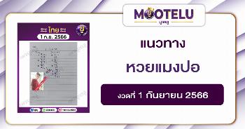 หวยแมงปอ 1-9-66 