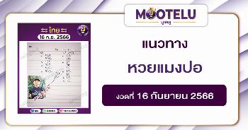 หวยแมงปอ 16-9-66 