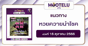 หวยควายนำโชค 16-10-66