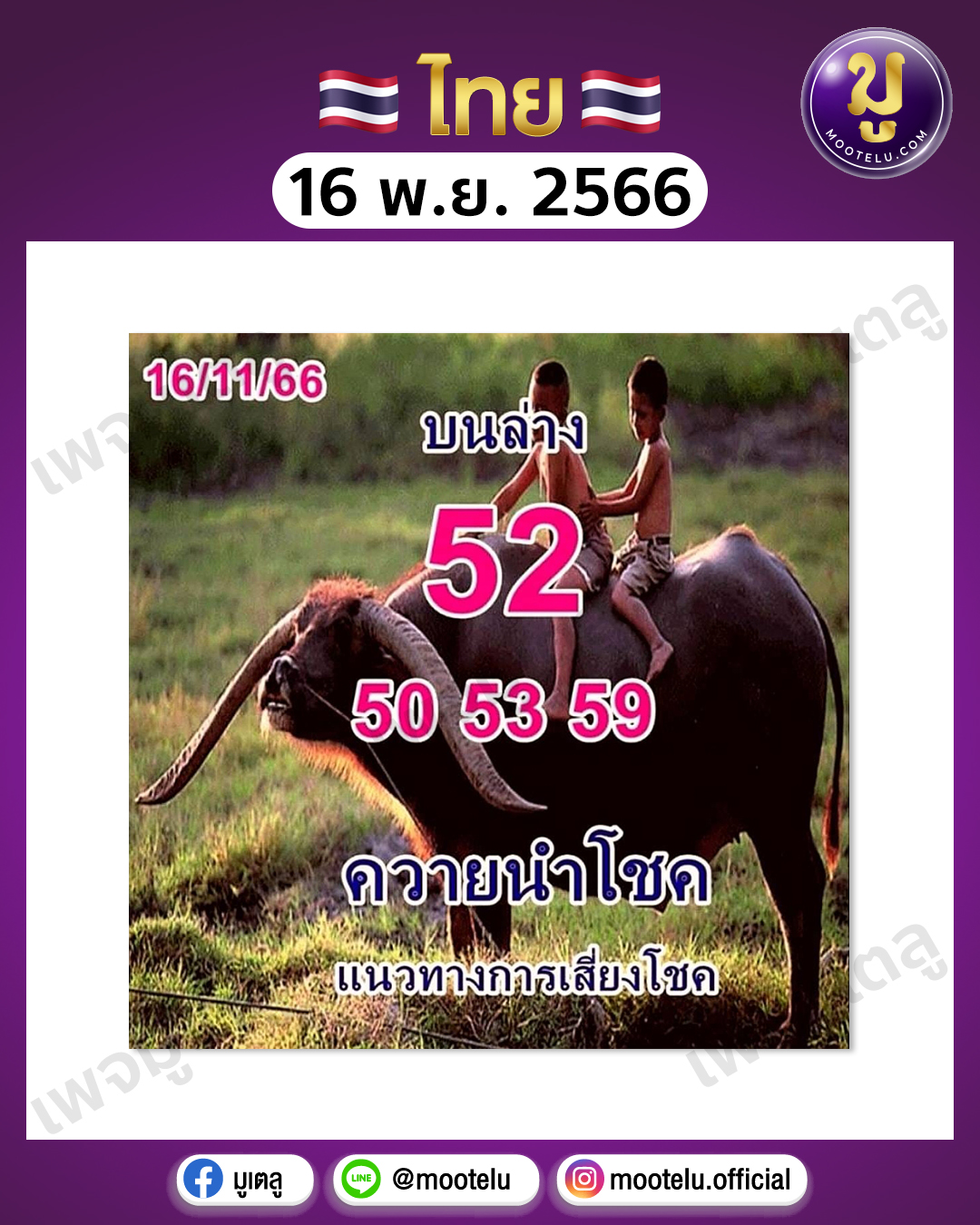 หวยควายนำโชค 16-11-66 
