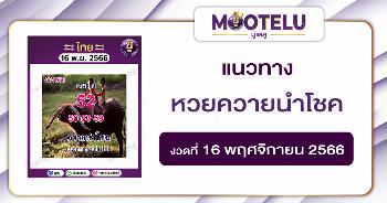 หวยควายนำโชค 16-11-66 