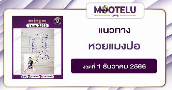 หวยแมงปอ 1-12-66 