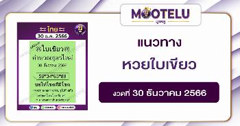หวยใบเขียว 30-12-66 