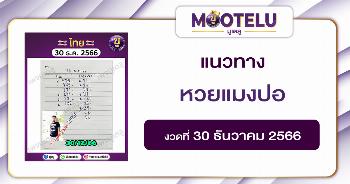 หวยแมงปอ 30-12-66 