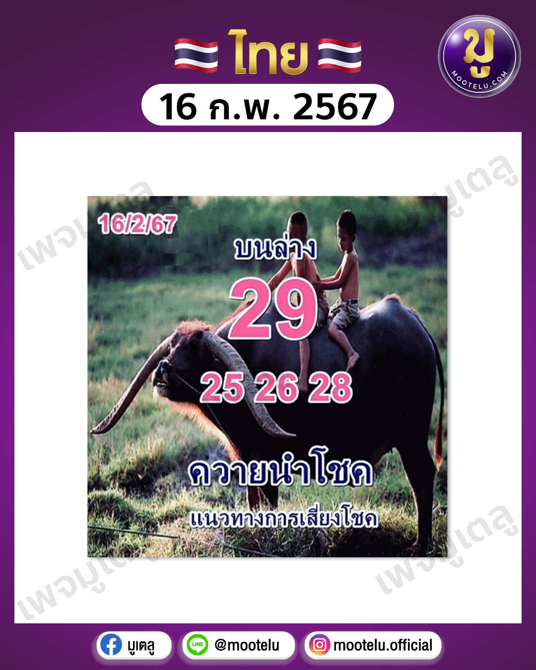 หวยควายนำโชค 16-2-67 