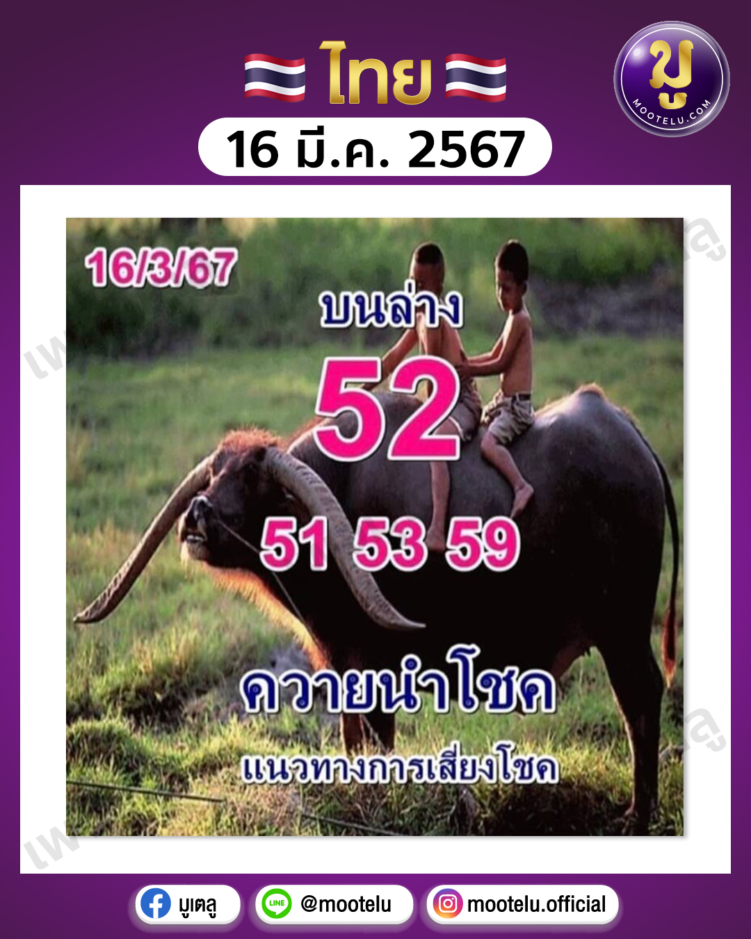 หวยควายนำโชค 16-3-67 